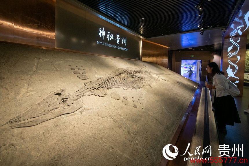 6月21日，在贵州省地质博物馆，搭客正在参不雅游览。东谈主民网记者 翁奇羽摄